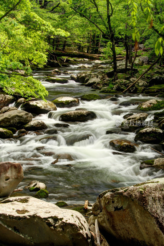 流动的河流Cascades, Smoky Mountains田纳西州